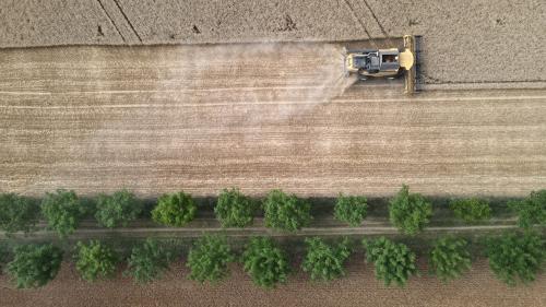 DJI_3636.JPG